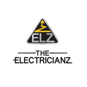 THE ELECTRICIANZ